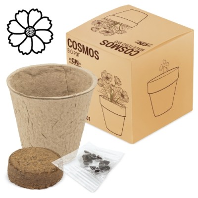 Maceta Bio Cosmos Ramillete...