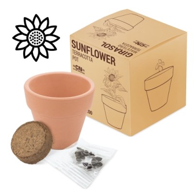 Maceta Terracota Girasol...
