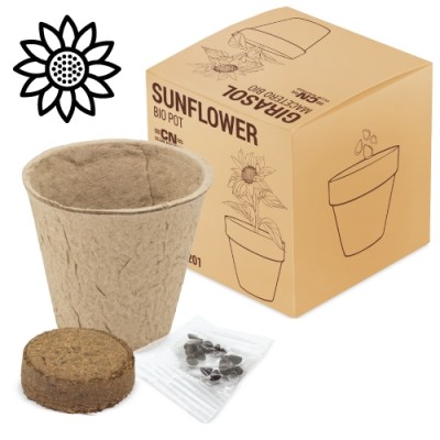 Maceta Bio Girasol...