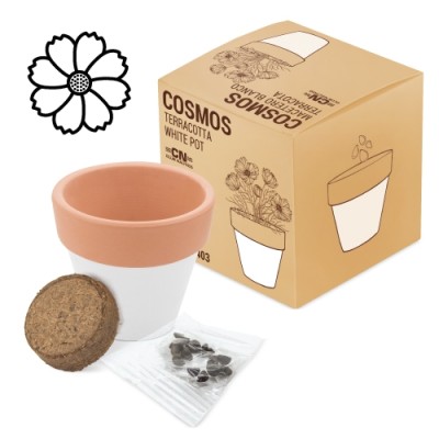 Maceta Terracota White Blanco