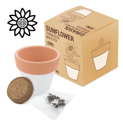 Maceta Terracota White Blanco