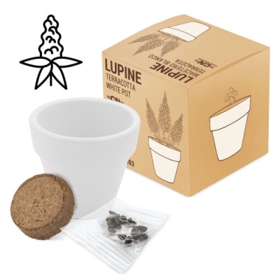 Maceta Terracota White Blanco